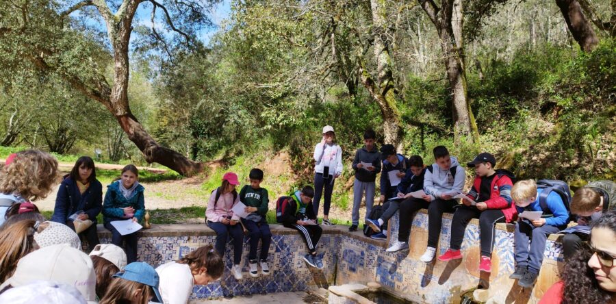 Projeto Literacia para a Floresta